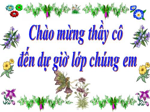 Chương II. §8. Phép chia các phân thức đại số