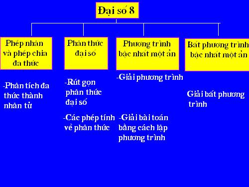 Các bài Luyện tập