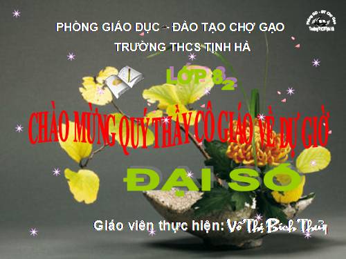 Chương II. §8. Phép chia các phân thức đại số