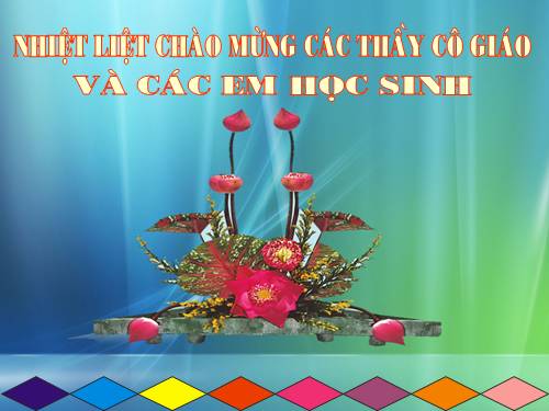 Các bài Luyện tập