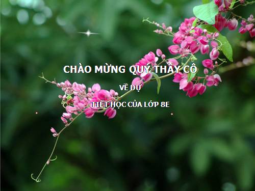 Chương I. §12. Chia đa thức một biến đã sắp xếp