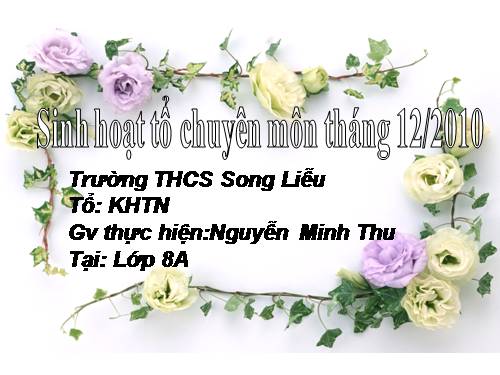 Các bài Luyện tập