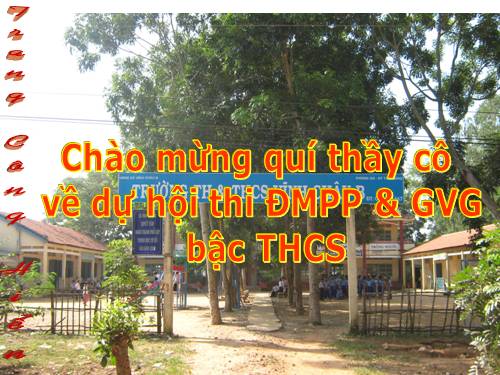 Chương II. §8. Phép chia các phân thức đại số