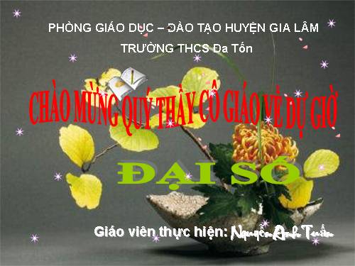 Chương II. §8. Phép chia các phân thức đại số