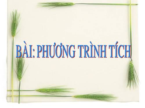 Chương III. §4. Phương trình tích