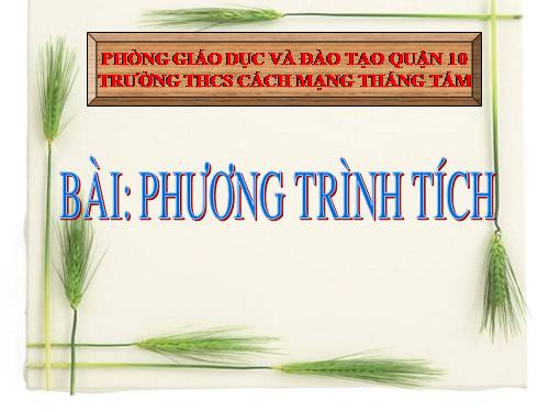 Chương III. §4. Phương trình tích