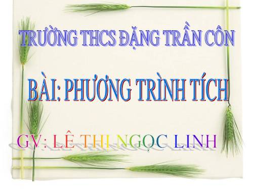 Chương III. §4. Phương trình tích