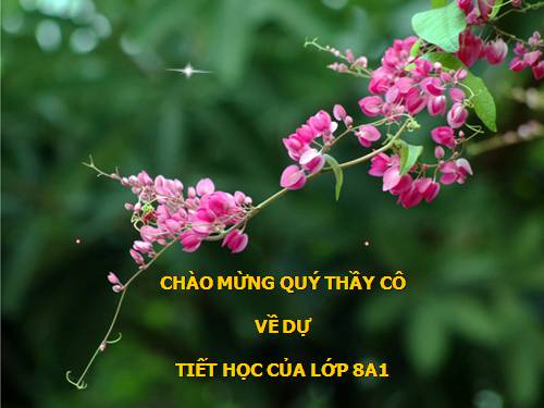 Chương II. §8. Phép chia các phân thức đại số