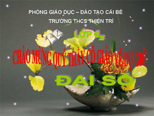 Chương II. §8. Phép chia các phân thức đại số