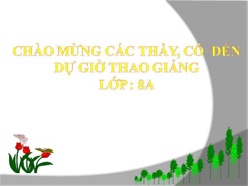 Chương II. §3. Rút gọn phân thức