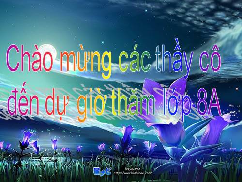 Chương II. §1. Phân thức đại số