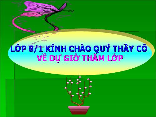 Chương I. §10. Chia đơn thức cho đơn thức