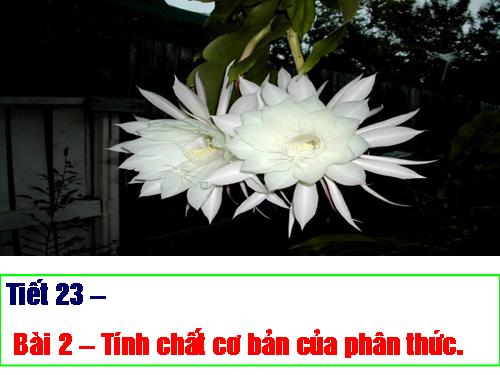 Chương II. §2. Tính chất cơ bản của phân thức