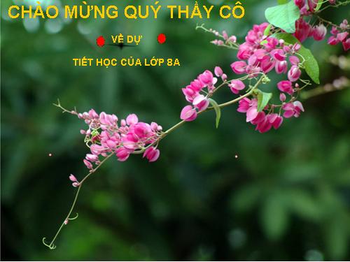 Chương I. §12. Chia đa thức một biến đã sắp xếp