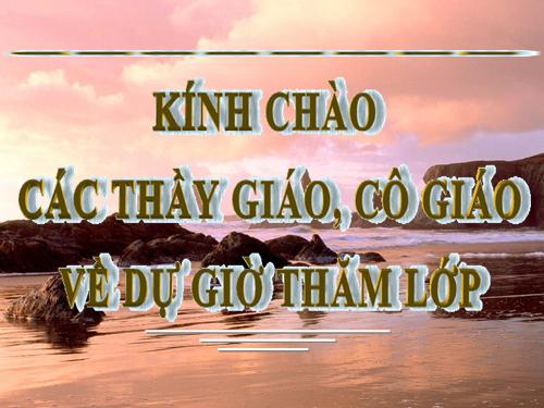 Chương II. §6. Phép trừ các phân thức đại số