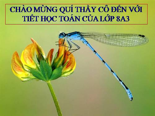 Chương I. §6. Phân tích đa thức thành nhân tử bằng phương pháp đặt nhân tử chung