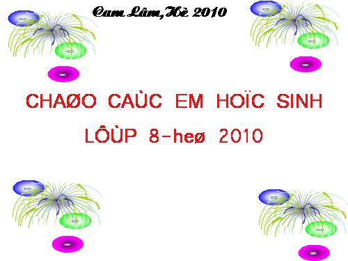 Các bài Luyện tập