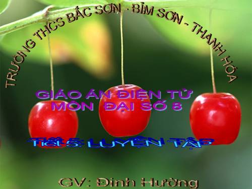 Các bài Luyện tập