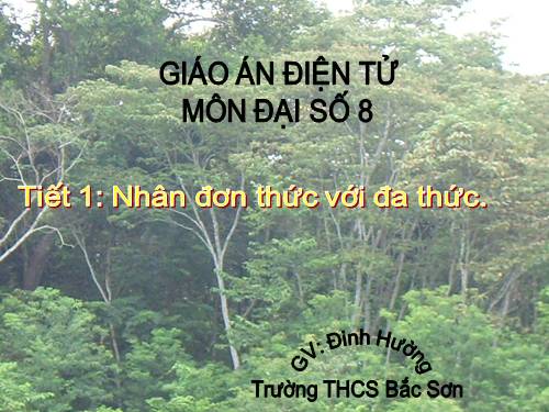 Chương I. §1. Nhân đơn thức với đa thức