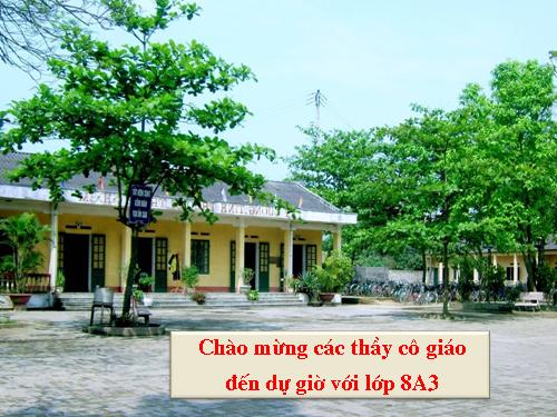 Chương IV. §1. Liên hệ giữa thứ tự và phép cộng