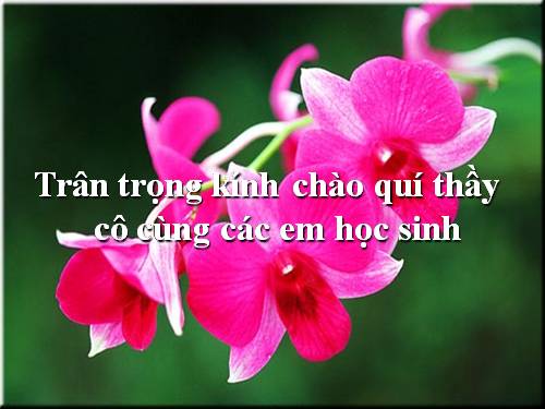 Chương II. §3. Rút gọn phân thức