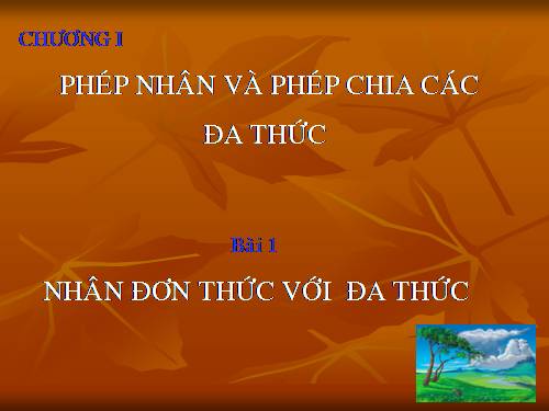 Chương I. §1. Nhân đơn thức với đa thức