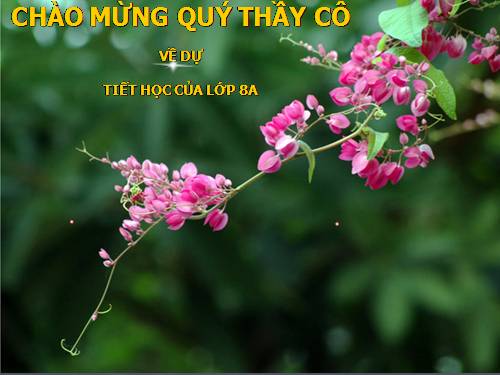 Chương I. §12. Chia đa thức một biến đã sắp xếp