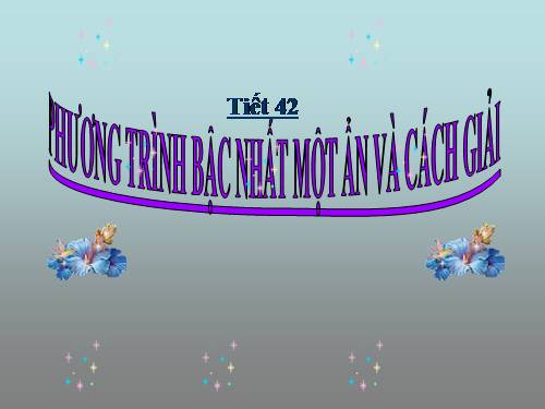 Chương III. §2. Phương trình bậc nhất một ẩn và cách giải