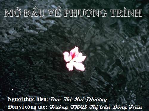 Chương III. §1. Mở đầu về phương trình