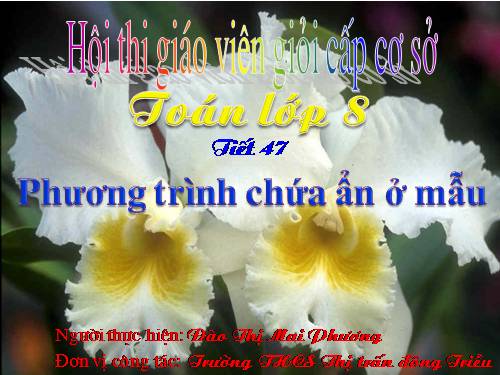 Chương III. §5. Phương trình chứa ẩn ở mẫu