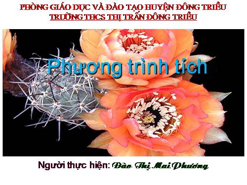 Chương III. §4. Phương trình tích