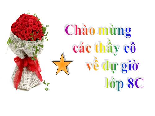 Chương III. §5. Phương trình chứa ẩn ở mẫu