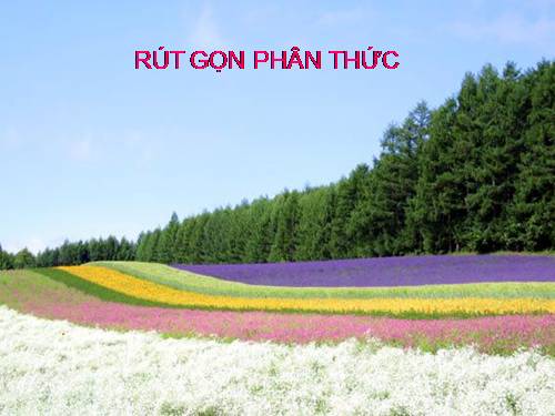 Chương II. §3. Rút gọn phân thức