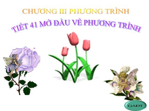 Chương III. §1. Mở đầu về phương trình