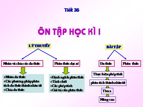 Các bài Luyện tập