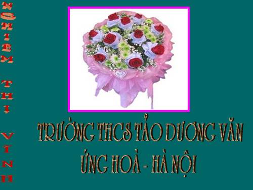 Chương II. §8. Phép chia các phân thức đại số