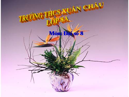 Chương I. §11. Chia đa thức cho đơn thức