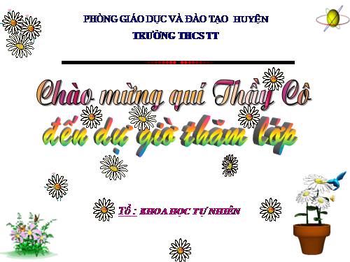 Chương II. §8. Phép chia các phân thức đại số