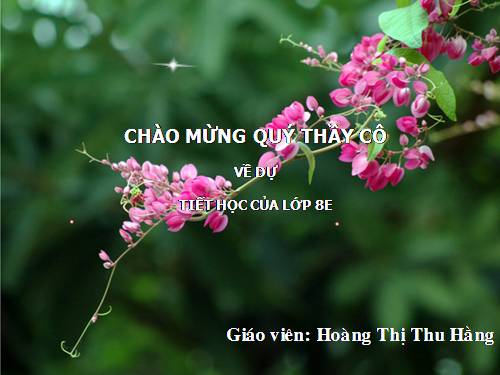 Chương I. §12. Chia đa thức một biến đã sắp xếp