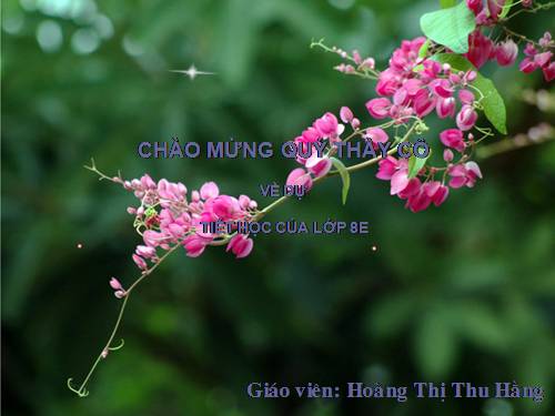 Chương I. §12. Chia đa thức một biến đã sắp xếp