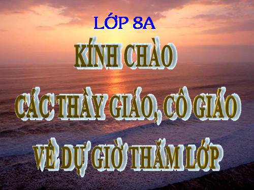 Các bài Luyện tập