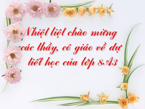 Chương I. §12. Chia đa thức một biến đã sắp xếp