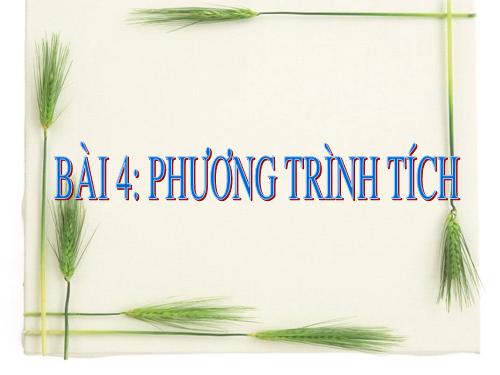 Chương III. §4. Phương trình tích