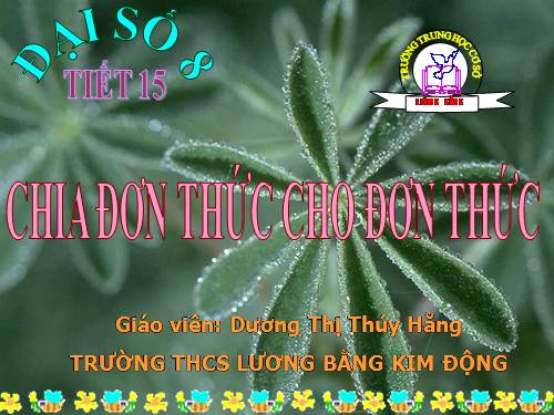 Chương I. §10. Chia đơn thức cho đơn thức