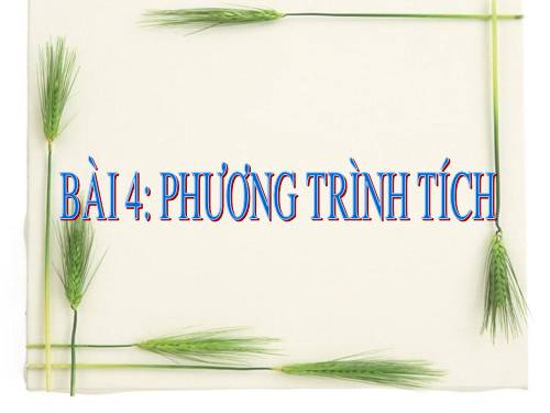 Chương III. §4. Phương trình tích