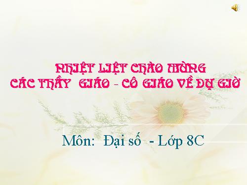 Các bài Luyện tập