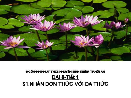 Chương I. §1. Nhân đơn thức với đa thức