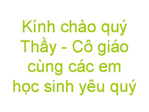 Các bài Luyện tập