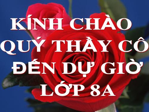 Chương III. §2. Phương trình bậc nhất một ẩn và cách giải