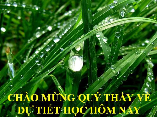 Chương IV. §1. Liên hệ giữa thứ tự và phép cộng